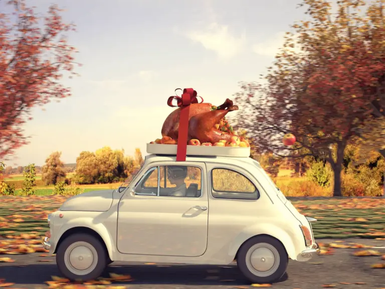 Travel Tips for Thanksgiving